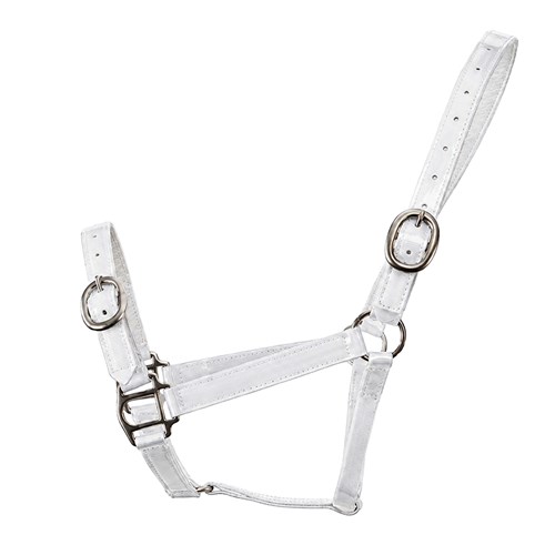HSN5000F WH-01